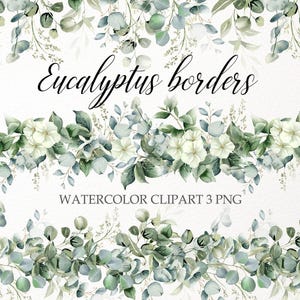 May include: A watercolour design featuring eucalyptus borders with white flowers and green and blue-green leaves. The text "Eucalyptus borders" is in a cursive font, and "WATERCOLOR CLIPART 3 PNG" is also included.