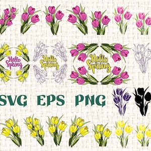 Tulip SVG, Cricut Cut File, Tulip Bundle, Commercial Use, Clipart Set, PNG, Instant Download, Flower Digital File