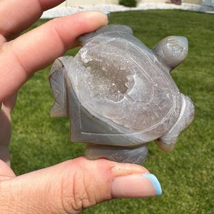 May include: A gray agate turtle sculpture with a hollowed-out back that reveals a crystal-filled interior.