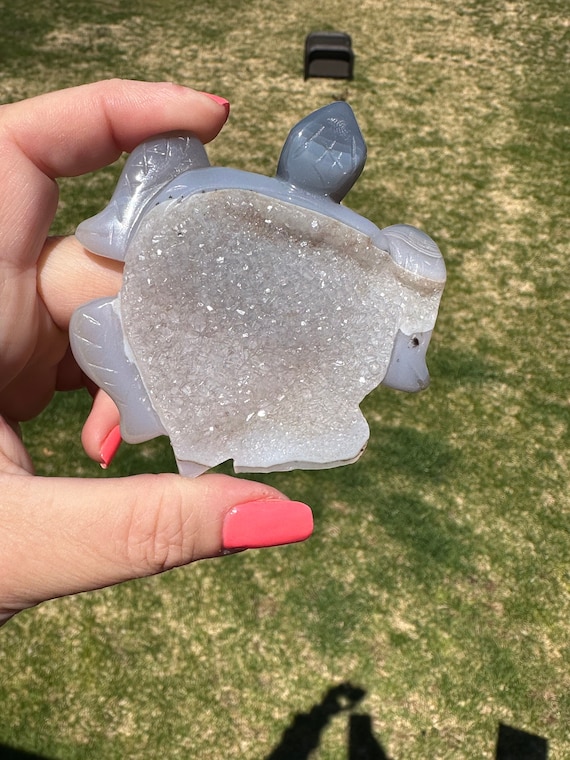 Druzy Agate Sea Turtles Druzy Agate Sea Turtles