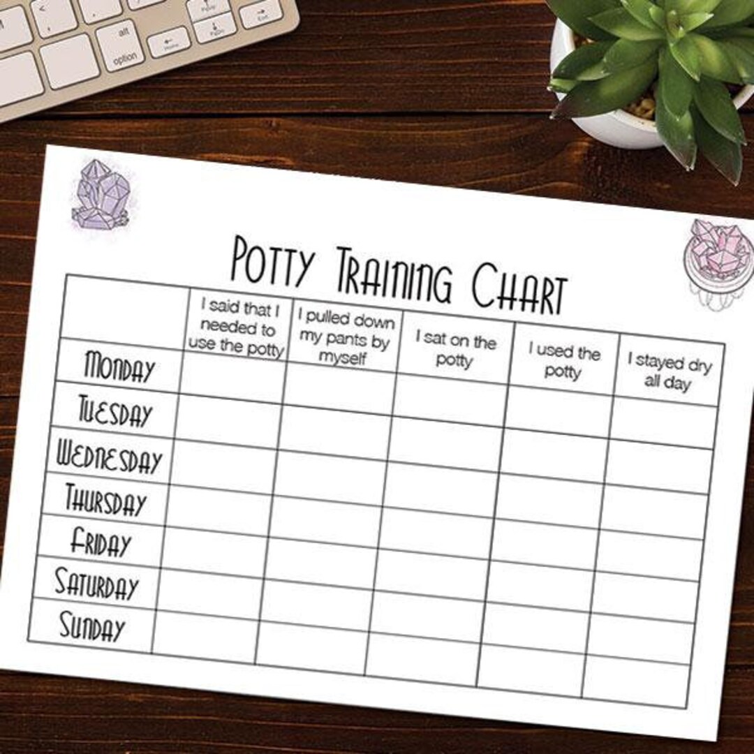 Potty Training Chart Crystals Etsy