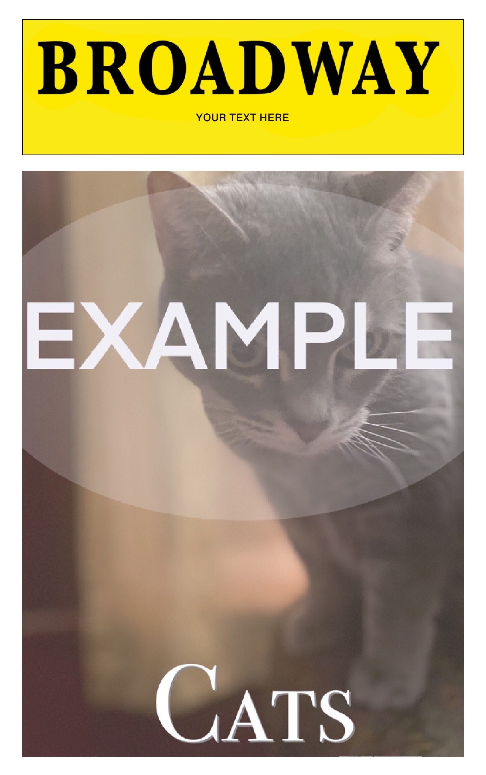 Custom Broadway playbill//digital DOWNLOAD - Etsy