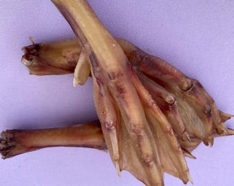 Duck Feet/Dehydrated Duck Feet/Dog Treats/Duck Dog Treats/Duck Feet Treats/Single Ingredient Treats/Duck Chews/Dog Chews/Duck Treats