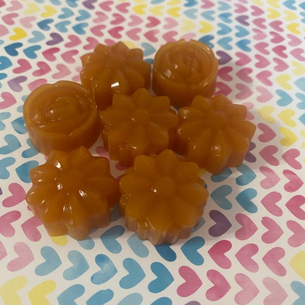 Pumpkin Fruit Snacks/Dog Treats/Dog Gelatin Treats/Gummy Treats/Healthy Dog Treat/All Natural Dog Treats/Homemade Dog Treats