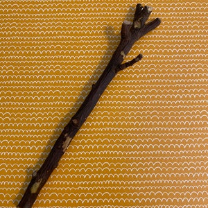 Branches de pommier/Bâtonnets de bois de pommier/Lapin/Bâtonnets à mâcher de cobaye/Bâtonnets à mâcher pour petits animaux/Bâtonnets de pomme/Bâtonnets de pomme bio/Bâtonnets à mâcher