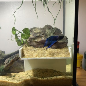 Aquarium Cave with Planting Shelf: Fish Hideaway (5”x3”x3.85”)
