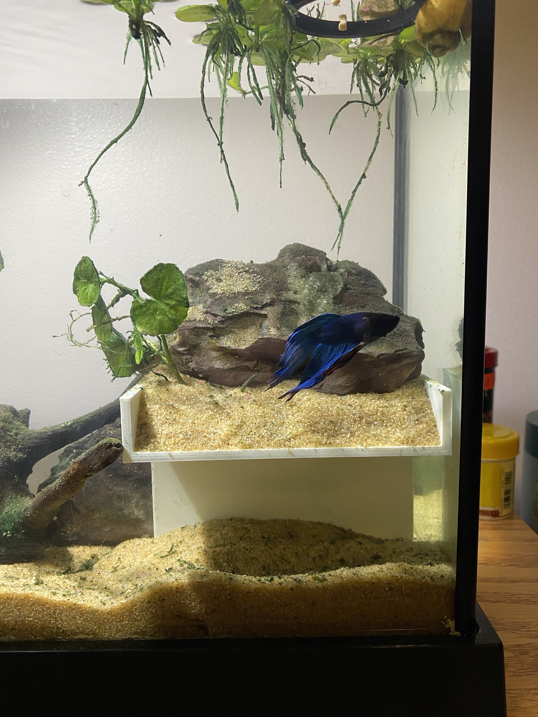 Aquarium Cave Etsy