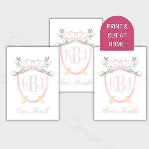 Cartes d'étape mensuelles pour bébé | Cartes d'étape mensuelles pour filles | Impression à la maison en téléchargement numérique | mensuelles pour bébé fille | Personnalisé