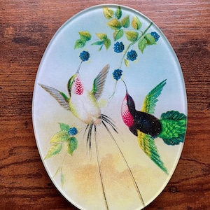 John Derian Plates - Etsy