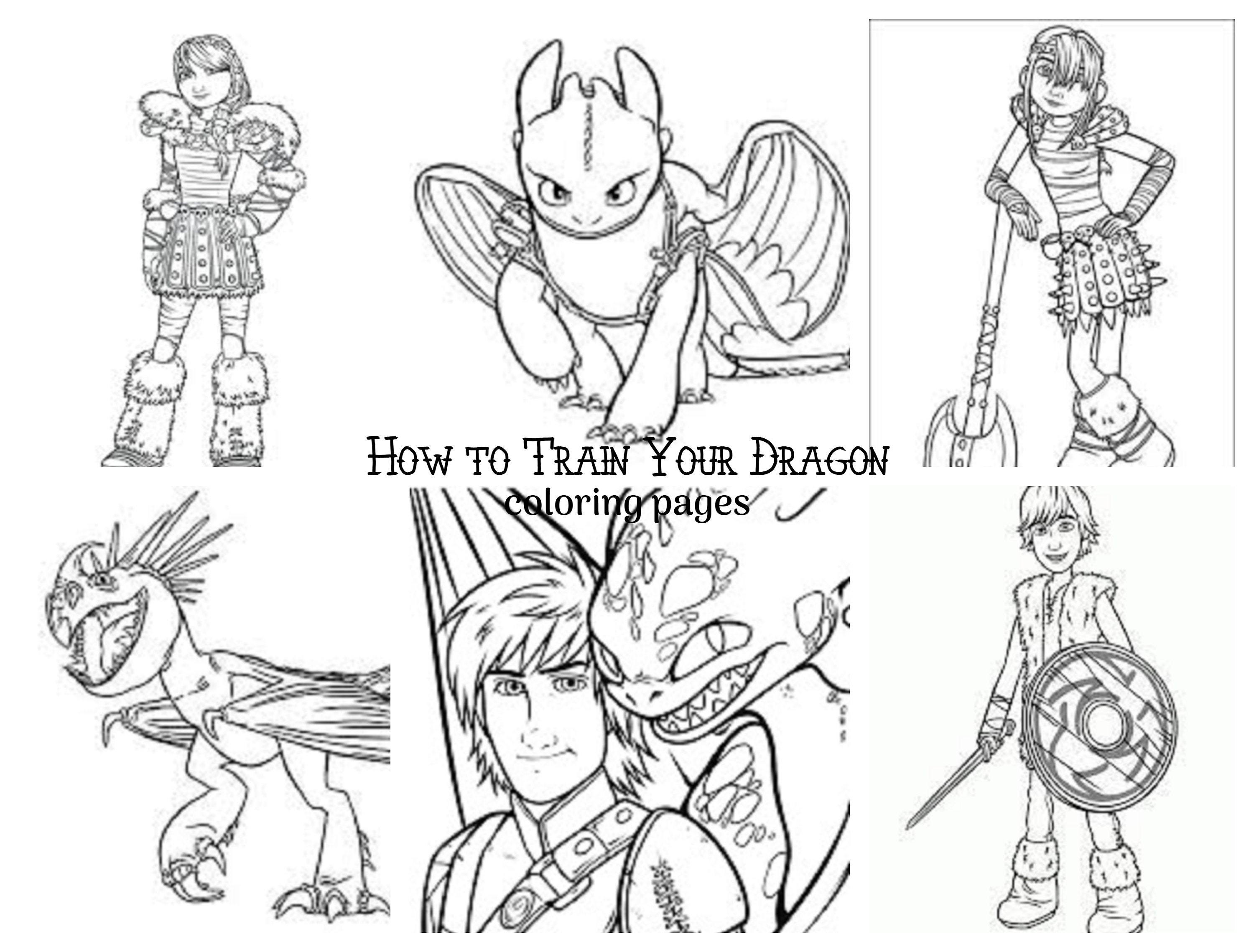 6 How To Train Your Dragon Coloring Pages Medium To Advanced Etsy