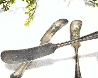 1900s Antique Oneida Silverplate Butter Knife Set of 3 Primrose Flower Pattern Flat Handled Cheese Spreader Vintage Metal Utensils