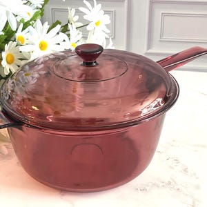 May include: A translucent plum-colored glass saucepan with a matching glass lid. The pot features a single long handle on one side and a smaller tab handle on the opposite side. The lid has a circular knob handle centered on the top surface.