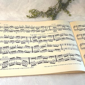 May include: Open book of sheet music with black notes on aged, cream-colored pages. The pages are open to display musical notation, with text and numbers. The book is slightly angled, with a sprig of greenery in the background.