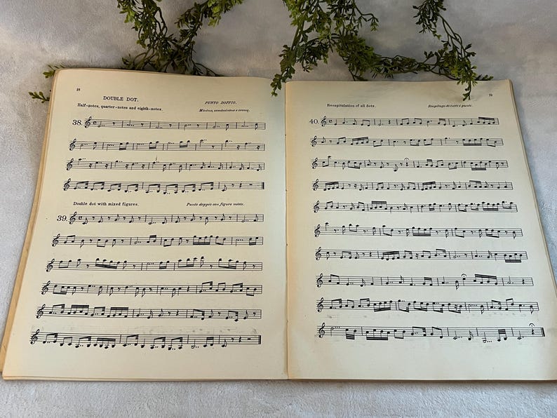May include: Open vintage sheet music book with musical notes and text. The pages are yellowed with age, and the text includes the words "Double Dot" and "Punto Partito." Green foliage is visible in the background.