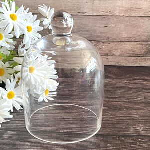 Campana decorativa de cristal vintage con tapa de cristal transparente y pomo.