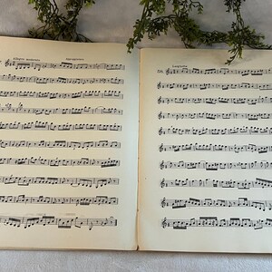 May include: Open book with sheet music. The pages are aged with a yellowed tone. Musical notes and symbols are printed in black ink. The text "Allegro moderato" and "Appoggiatura" are visible at the top of the left page.