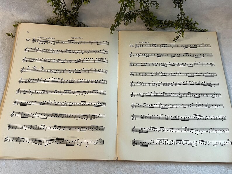 May include: Open book with sheet music. The pages are aged with a yellowed tone. Musical notes and symbols are printed in black ink. The text "Allegro moderato" and "Appoggiatura" are visible at the top of the left page.