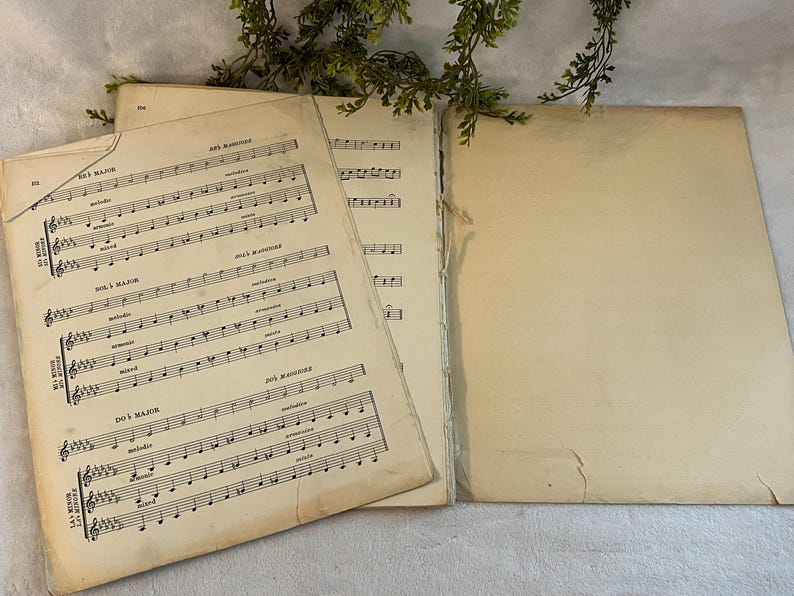 May include: Vintage sheet music with musical notes and text in black ink on aged, cream-colored paper. The pages are slightly torn and worn, with visible signs of age. A sprig of greenery rests in the background.