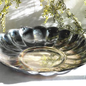 May include: A silver-colored, scalloped-edge serving dish. The dish has a central oval area and a wavy rim. The surface reflects light, creating highlights and shadows. Greenery is visible in the background.