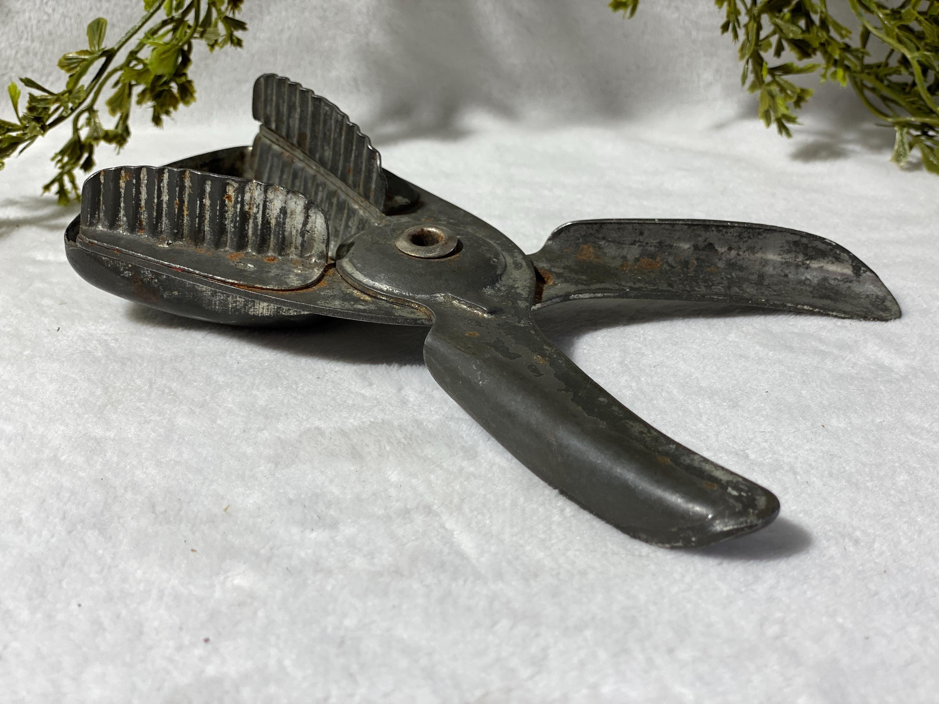 1950s Lemon Squeezer