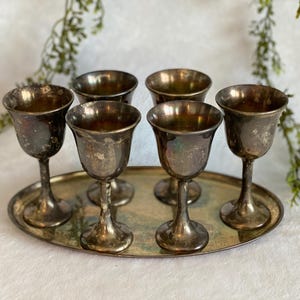 Vintage Silverplate Cordial Glasses with Serving Tray Set of 6 Made in Italy Miniature Silverplate Goblets Metal Wine Cups Vintage Gift
