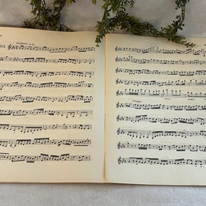 May include: Open book of sheet music with musical notes and symbols. The pages are yellowed with age, and the text "Larghetto" is visible at the top of the left page. Green foliage is draped across the top of the book.