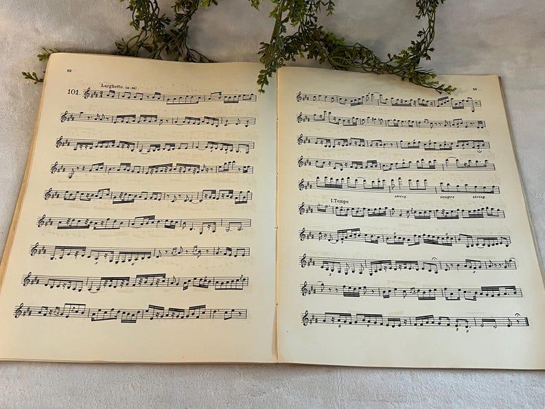 May include: Open book of sheet music with musical notes and symbols. The pages are yellowed with age, and the text "Larghetto" is visible at the top of the left page. Green foliage is draped across the top of the book.