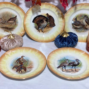 Puede incluir: Colección de seis platos decorativos con ilustraciones de aves. Los platos tienen un centro color crema con una pintura detallada de un ave y un borde dorado. Las velas decorativas y las calabazas de terciopelo rodean los platos.