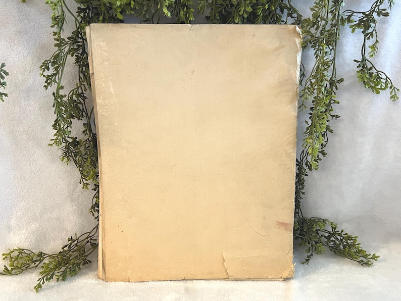May include: A vintage book with a worn, beige cover. The edges show signs of age and wear, with slight tears and discoloration. The book is positioned upright, suggesting it is closed. Greenery is visible in the background, adding a natural element to the composition.