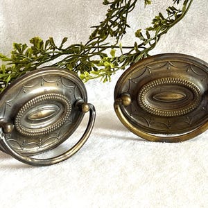 Puede incluir: Dos tiradores de cajón ovalados de latón antiguo con un centro decorativo con cuentas y un asa curvada. Los tiradores tienen una pátina envejecida y están colocados sobre un fondo blanco con vegetación.