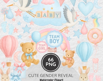 Gender Reveal Clipart Set: Pink & Blue Party Decorations (66 PNG Files)