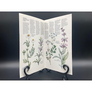 1975 Kruiden en hun toepassingen Botanische uitvouwbare Engelse tuinwinkel Monti Print