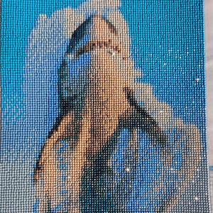 Shark