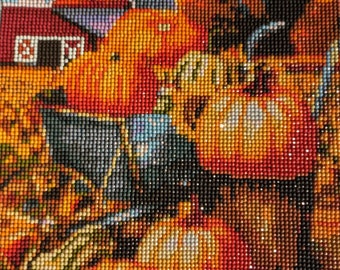 Pumpkin patch