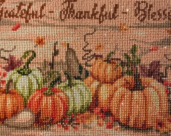 Pumpkin patch