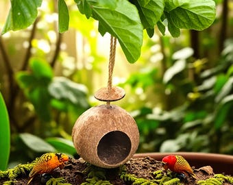 Bird Feeder | Coconut Shell Bird House With Hanging Rope | Bird Nest | Natural Bird Feeder | Handmade From Discarded Coconut Shells
