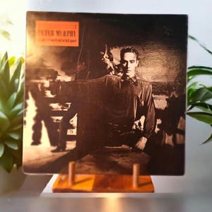 Vintage Peter Murphy Vinyl | Should the World Fall Apart | 1986 Release, VG Condition