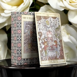 Tarot of Spells and Potions 78+2 Extra Cards Deck with Guidebook