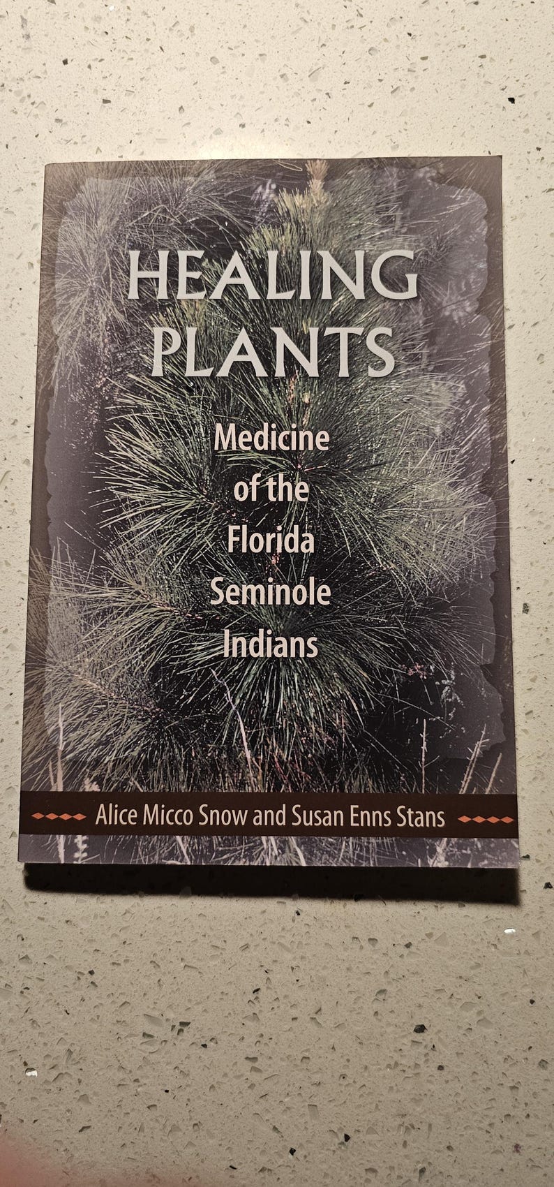 Healing Plants Medicine of the Florida Seminole Indians First Edition