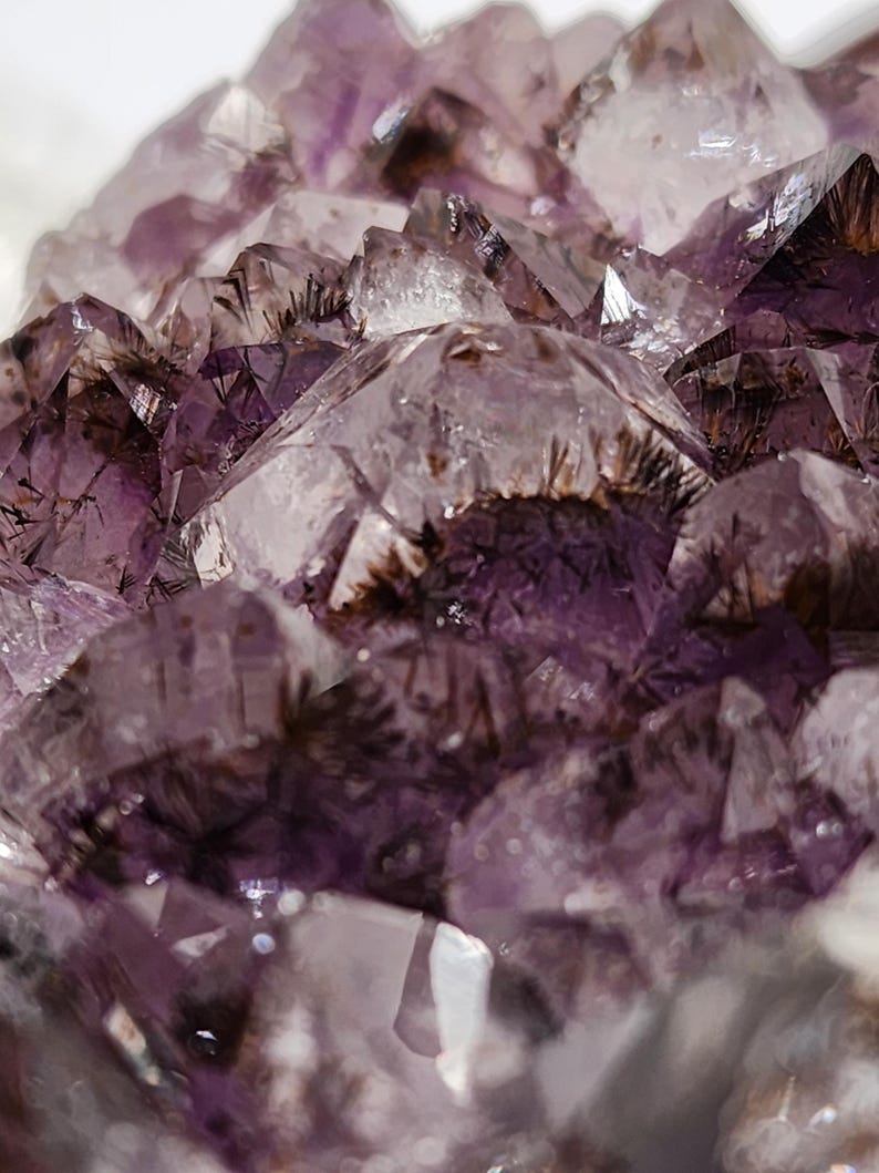 May include: Close-up of a cluster of amethyst crystals. The crystals are a deep purple color with clear, pointed tips. Some crystals have dark inclusions, adding texture. The light catches the facets, creating a sparkling effect.