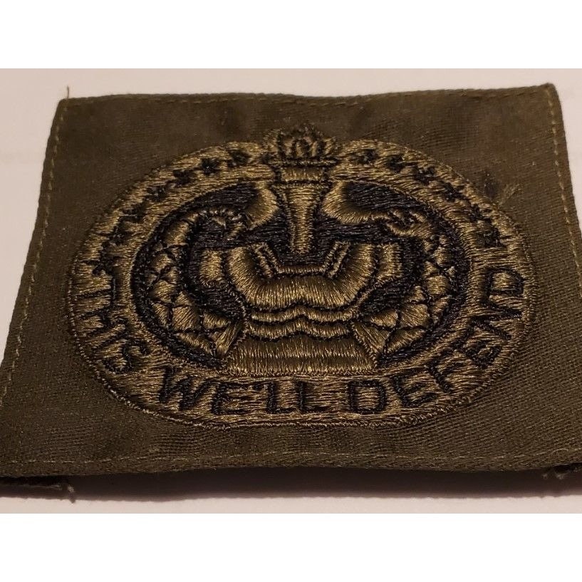 army-drill-sergeant-ocp-sew-on-badge-lupon-gov-ph