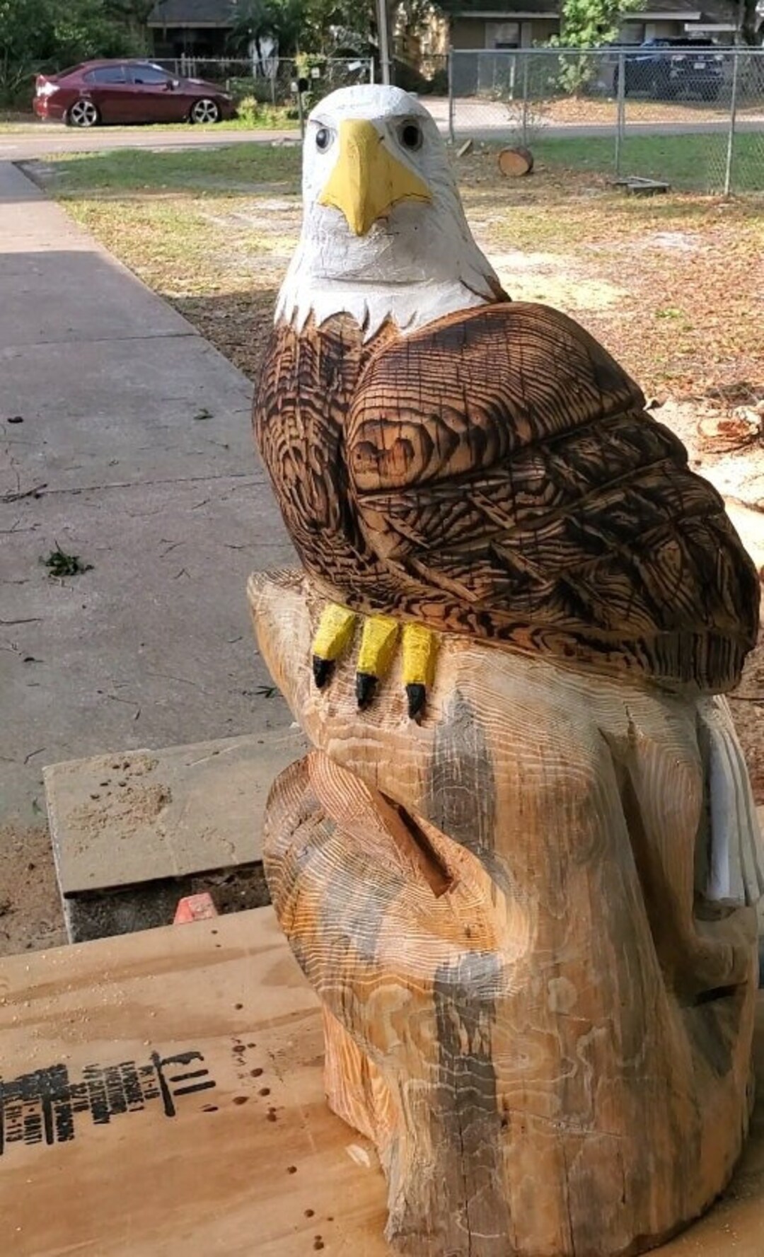 Chainsaw Carved Bald Eagle, Bald Eagle Statue, 2.5' Statue, Torched
