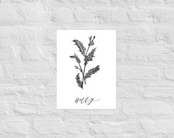 Holly Botanical Print | December Birth Month Flower