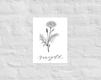 Marigold Botanical Print | October Birth Month Flower