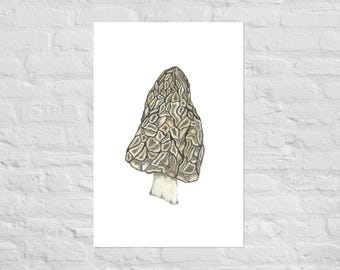 Morel Mushroom Print