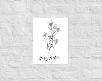 Honeysuckle Botanical Print | June Birth Month Flower