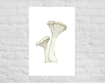 Chanterelle Mushroom Print