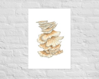 Chicken of the Woods Mushroom Print