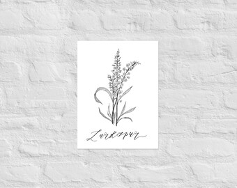 Larkspur Botanical Print | July Birth Month Flower