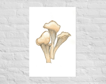 Apricot Jelly Mushroom Print